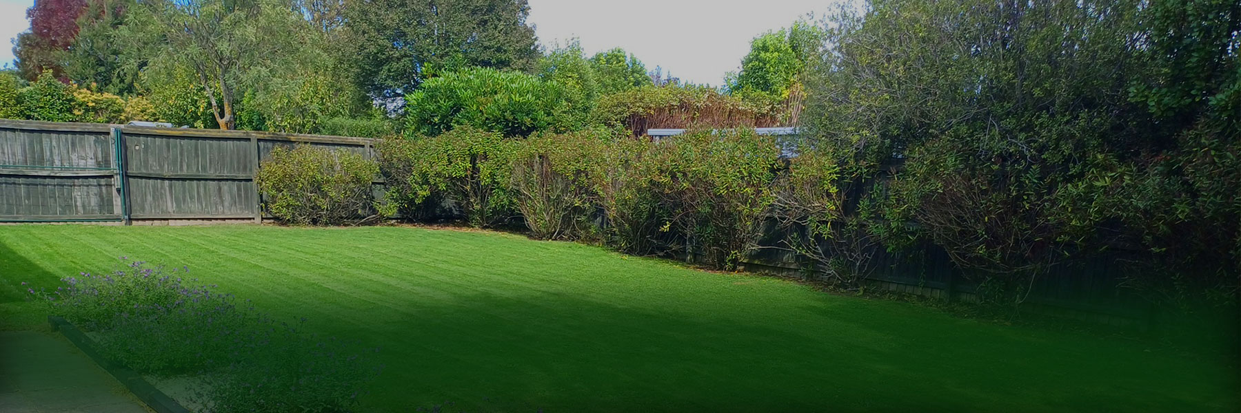 Selwyn Lawn Services. Small local team providing affordable residential and commercial lawn mowing, gardening, and weed-eating services, plus waste removal. Small and large sized residential and commercial sections. Servicing the Christchurch region.