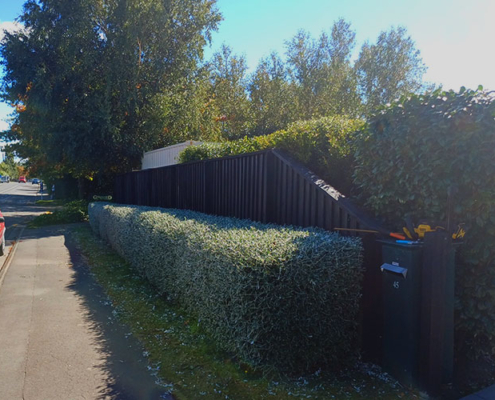 Selwyn Lawn Services. Small local team providing affordable residential and commercial lawn mowing, gardening, and weed-eating services, plus waste removal. Small and large sized residential and commercial sections. Servicing the Christchurch region.