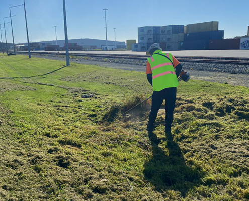 Selwyn Lawn Services. Small local team providing affordable commercial lawn mowing & weed-eating services, plus waste removal. Small and large sized commercial sections and properties. Servicing the Christchurch region.
