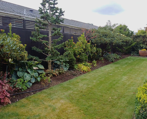 Selwyn Lawn Services. Small local team providing affordable residential and commercial lawn mowing, gardening, and weed-eating services, plus waste removal. Small and large sized residential and commercial sections. Servicing the Christchurch region.